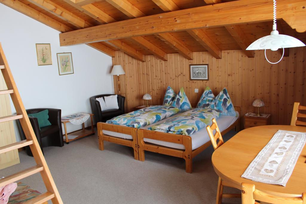 Chalet Spinne Grindelwald Room photo