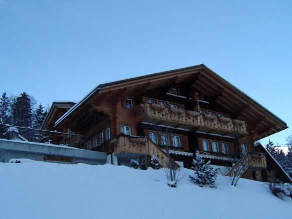 Chalet Spinne Grindelwald Exterior photo